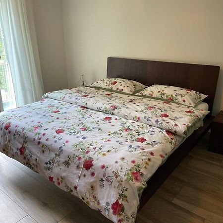 Appartamenti Ramarro Ronco sopra Ascona Ngoại thất bức ảnh
